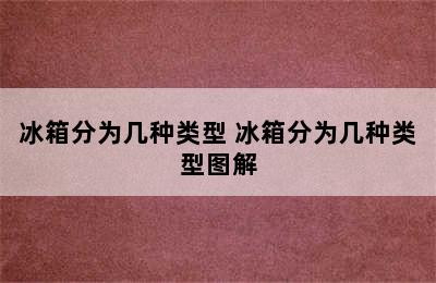 冰箱分为几种类型 冰箱分为几种类型图解